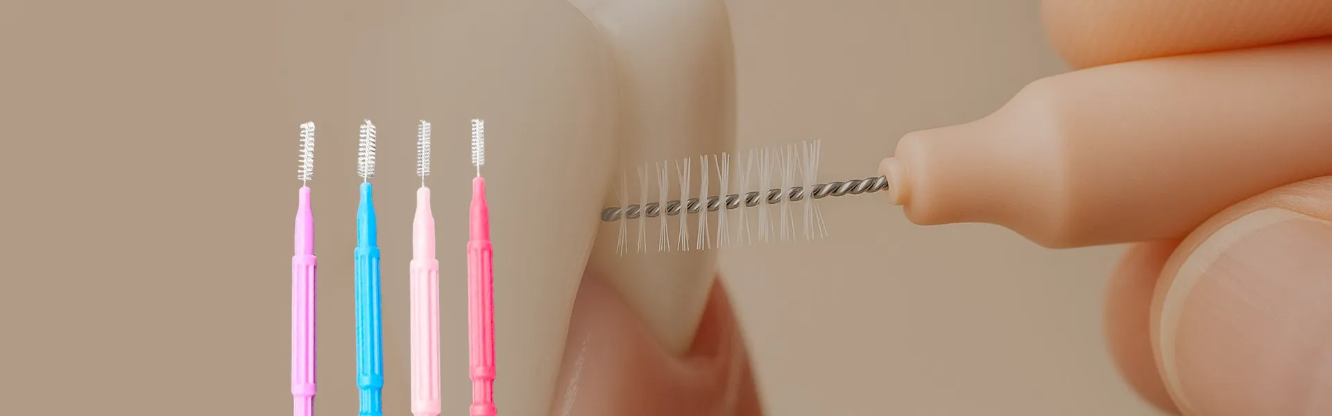 Məhsullar